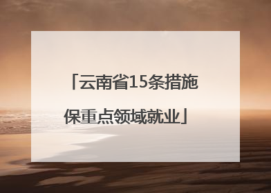云南省15条措施保重点领域就业