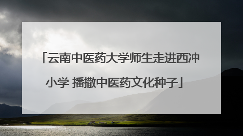 云南中医药大学师生走进西冲小学 播撒中医药文化种子