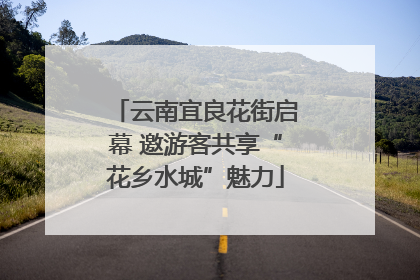 云南宜良花街启幕 邀游客共享“花乡水城”魅力