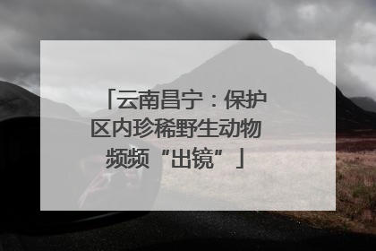 云南昌宁：保护区内珍稀野生动物频频“出镜”