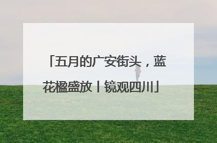 五月的广安街头，蓝花楹盛放丨镜观四川
