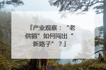 产业观察：“老供销”如何闯出“新路子”？