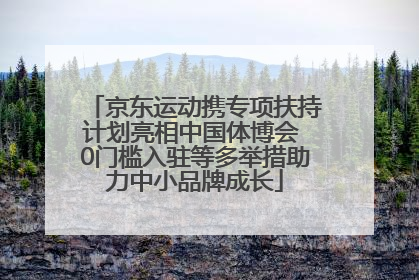 京东运动携专项扶持计划亮相中国体博会 0门槛入驻等多举措助力中小品牌成长