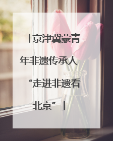 京津冀蒙青年非遗传承人“走进非遗看北京”