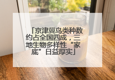 京津冀鸟类种数约占全国四成，三地生物多样性“家底”日益厚实