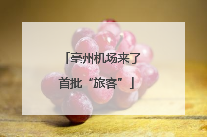 亳州机场来了首批“旅客”