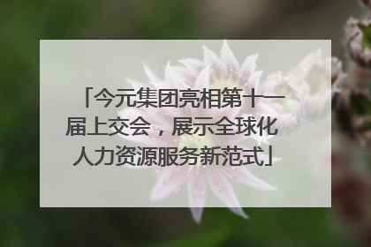 今元集团亮相第十一届上交会，展示全球化人力资源服务新范式