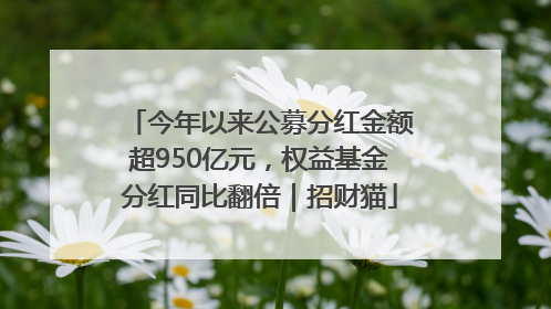 今年以来公募分红金额超950亿元，权益基金分红同比翻倍｜招财猫