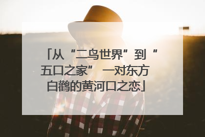 从“二鸟世界”到“五口之家” 一对东方白鹳的黄河口之恋