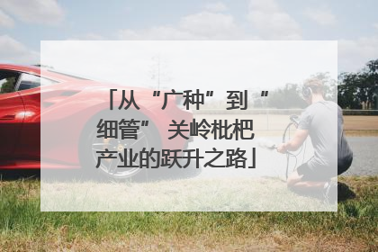从“广种”到“细管” 关岭枇杷产业的跃升之路