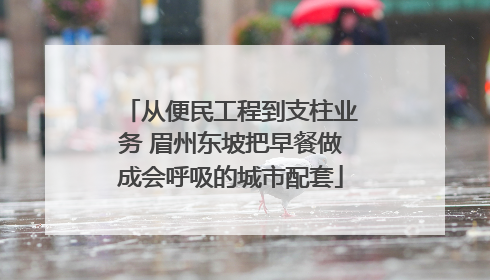 从便民工程到支柱业务 眉州东坡把早餐做成会呼吸的城市配套