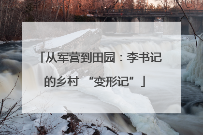从军营到田园：李书记的乡村 “变形记”