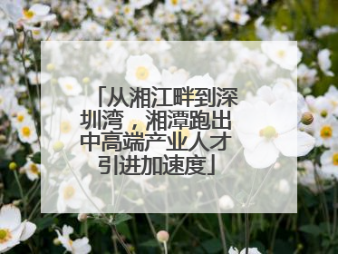 从湘江畔到深圳湾，湘潭跑出中高端产业人才引进加速度