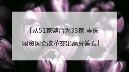 从51家整合为33家 重庆国资国企改革交出高分答卷