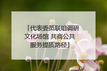 代表委员联组调研文化场馆 共商公共服务提质路径