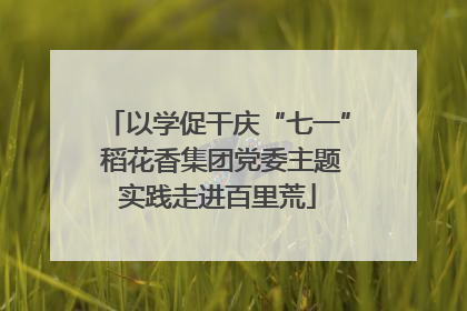 以学促干庆“七一” 稻花香集团党委主题实践走进百里荒