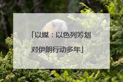以媒：以色列筹划对伊朗行动多年