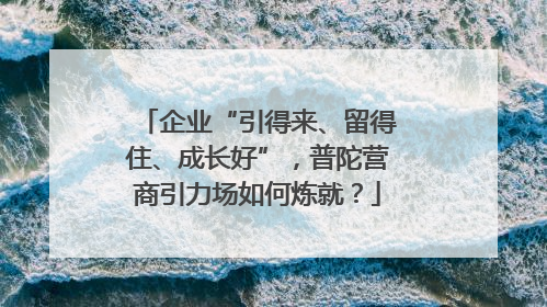企业“引得来、留得住、成长好”，普陀营商引力场如何炼就？
