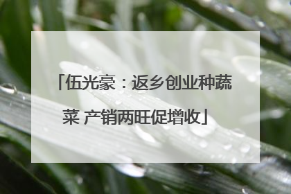伍光豪：返乡创业种蔬菜 产销两旺促增收