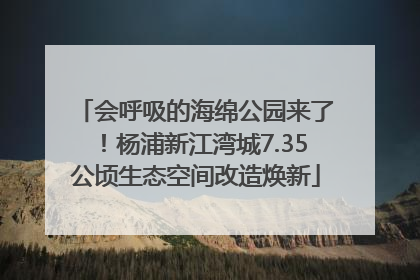 会呼吸的海绵公园来了！杨浦新江湾城7.35公顷生态空间改造焕新
