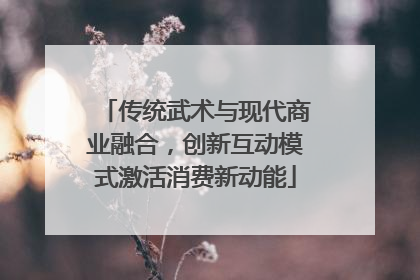 传统武术与现代商业融合，创新互动模式激活消费新动能