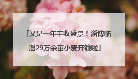 又是一年丰收盛景！淄博临淄29万余亩小麦开镰啦