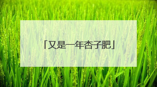 又是一年杏子肥