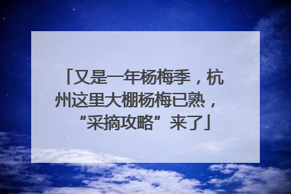 又是一年杨梅季，杭州这里大棚杨梅已熟，“采摘攻略”来了