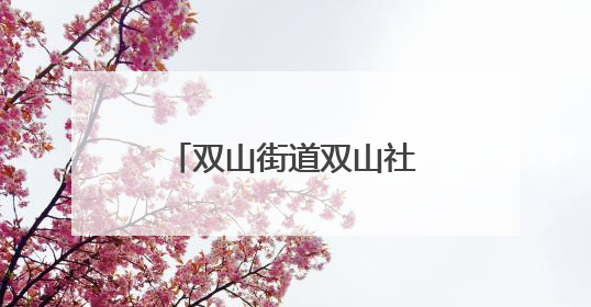 双山街道双山社区开展便民服务活动 志愿者用技艺延续老物件温情