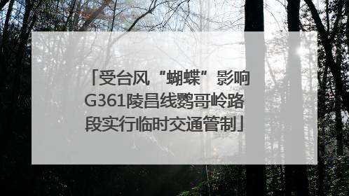 受台风“蝴蝶”影响 G361陵昌线鹦哥岭路段实行临时交通管制