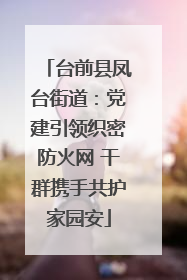 台前县凤台街道：党建引领织密防火网 干群携手共护家园安
