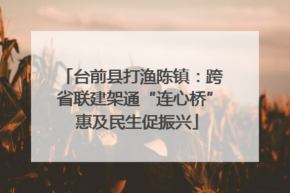 台前县打渔陈镇：跨省联建架通“连心桥” 惠及民生促振兴