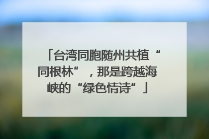 台湾同胞随州共植“同根林”，那是跨越海峡的“绿色情诗”