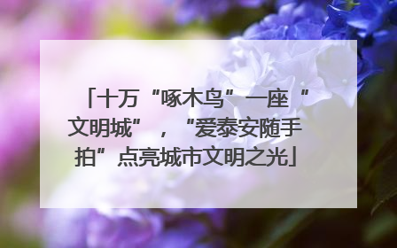 十万“啄木鸟”一座“文明城”，“爱泰安随手拍”点亮城市文明之光