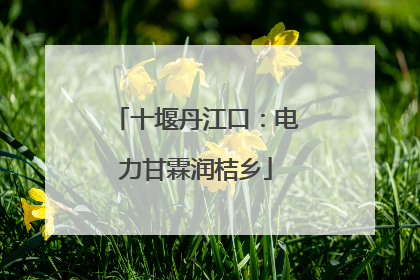 十堰丹江口：电力甘霖润桔乡