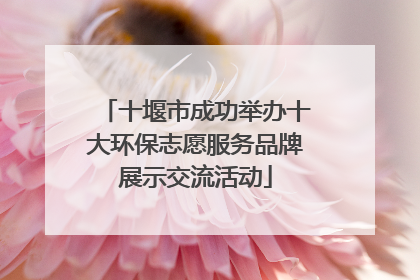 十堰市成功举办十大环保志愿服务品牌展示交流活动