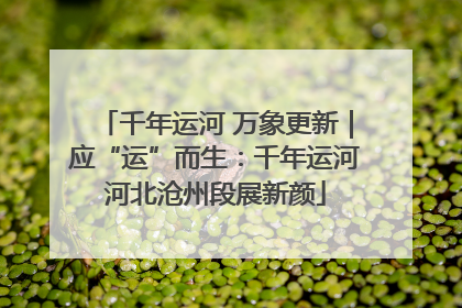 千年运河 万象更新｜应“运”而生：千年运河河北沧州段展新颜
