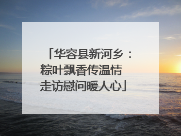 华容县新河乡：粽叶飘香传温情 走访慰问暖人心