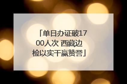 单日办证破1700人次 西藏边检以实干赢赞誉