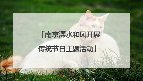 南京溧水和凤开展传统节日主题活动