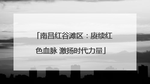南昌红谷滩区：赓续红色血脉 激扬时代力量