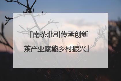 南茶北引传承创新 茶产业赋能乡村振兴