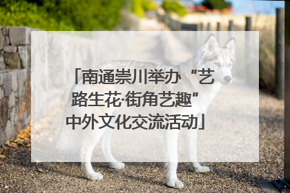 南通崇川举办“艺路生花·街角艺趣”中外文化交流活动