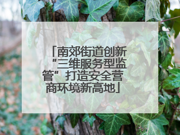 南郊街道创新“三维服务型监管”打造安全营商环境新高地