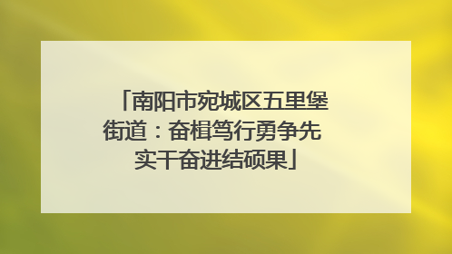 南阳市宛城区五里堡街道：奋楫笃行勇争先 实干奋进结硕果