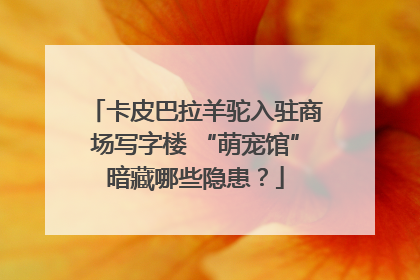 卡皮巴拉羊驼入驻商场写字楼 “萌宠馆”暗藏哪些隐患？