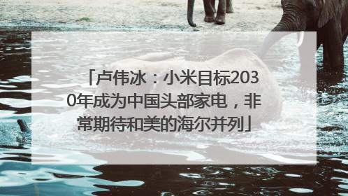 卢伟冰：小米目标2030年成为中国头部家电，非常期待和美的海尔并列