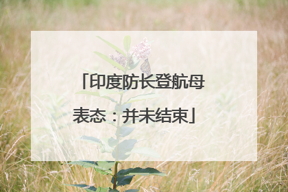 印度防长登航母表态：并未结束
