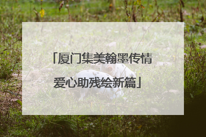 厦门集美翰墨传情 爱心助残绘新篇