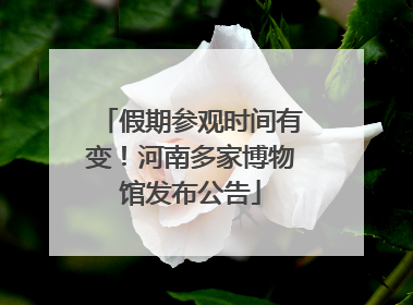 假期参观时间有变！河南多家博物馆发布公告